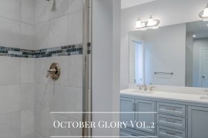 Gallery - October Glory Bathroom Remodel, Ocean View DE